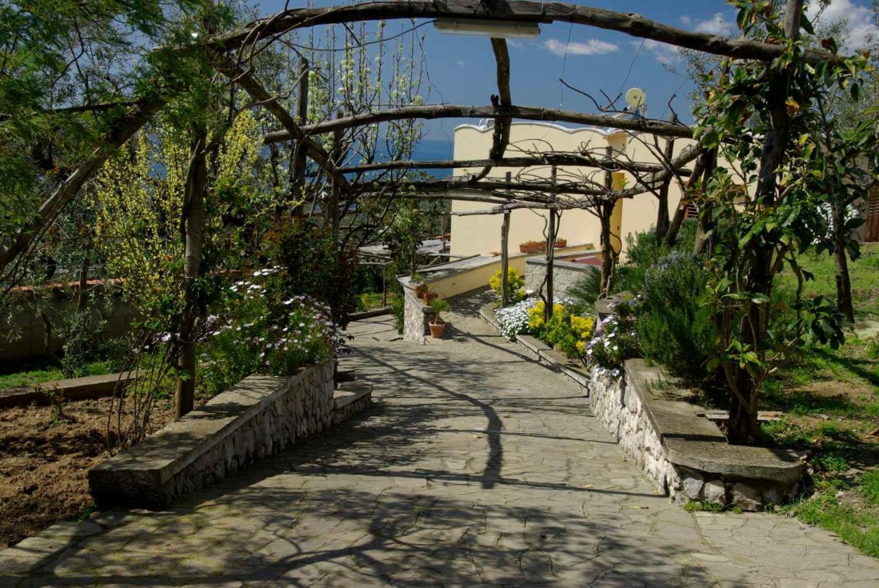Villa Romantica Massa Lubrense Dış mekan fotoğraf